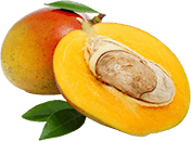 Mango Seed Extract