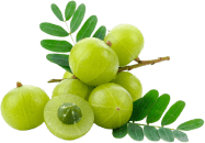 Amla