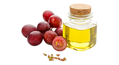 Grape Seed Oil