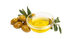 Olive Oil