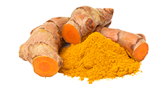 Raw Turmeric Extract